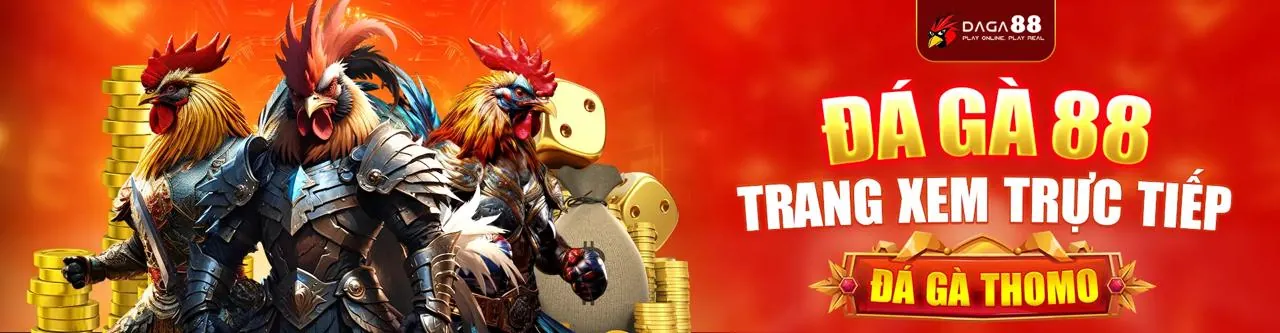 Đánh giá toàn diện t4wbet win 2026